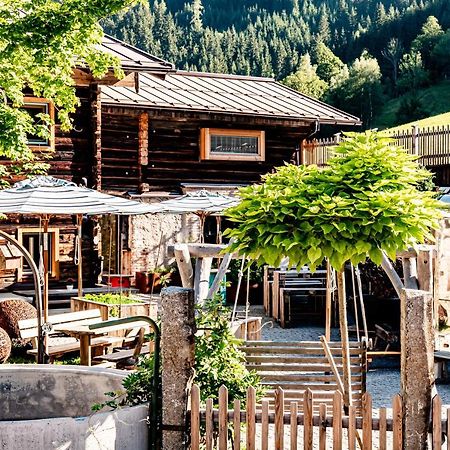 Peakini Farmhaus Villa Untertauern Dış mekan fotoğraf