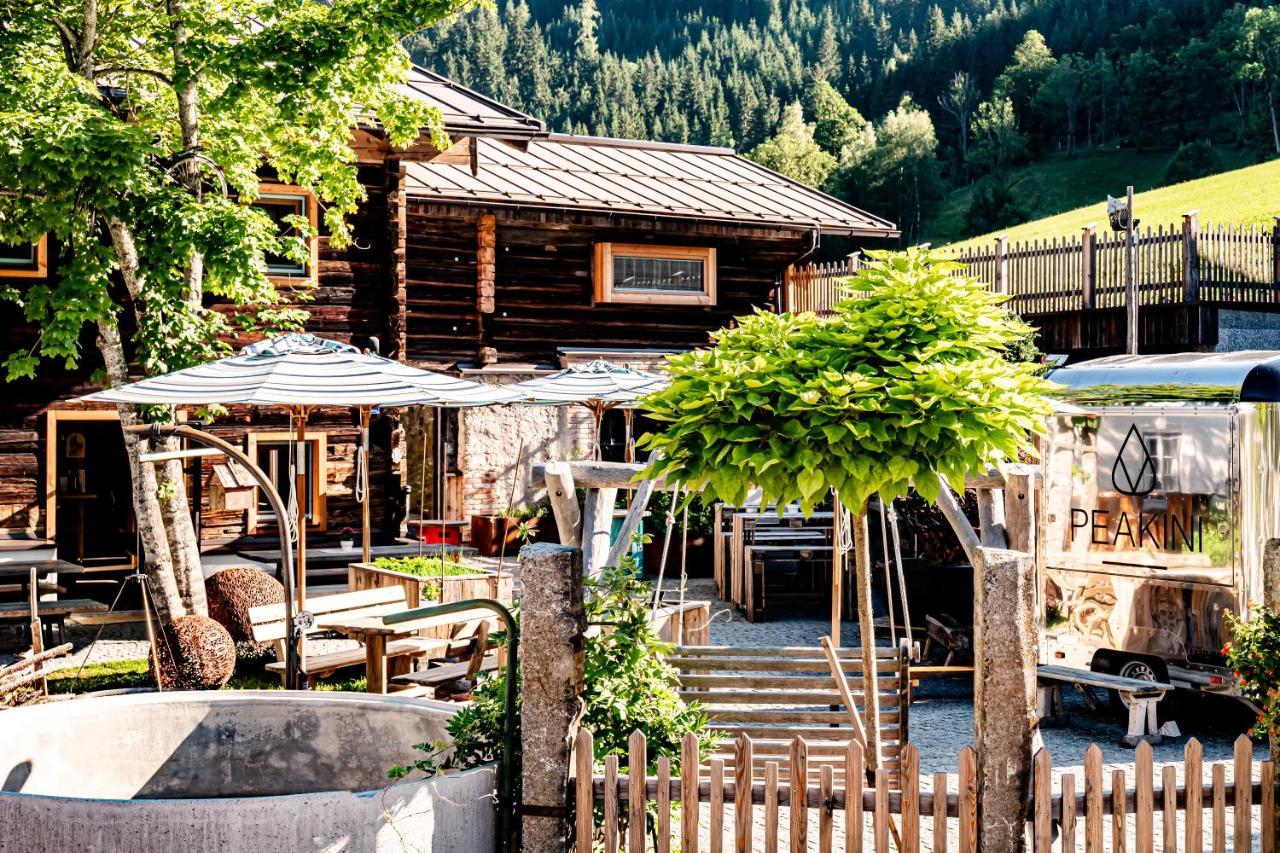 Peakini Farmhaus Villa Untertauern Dış mekan fotoğraf
