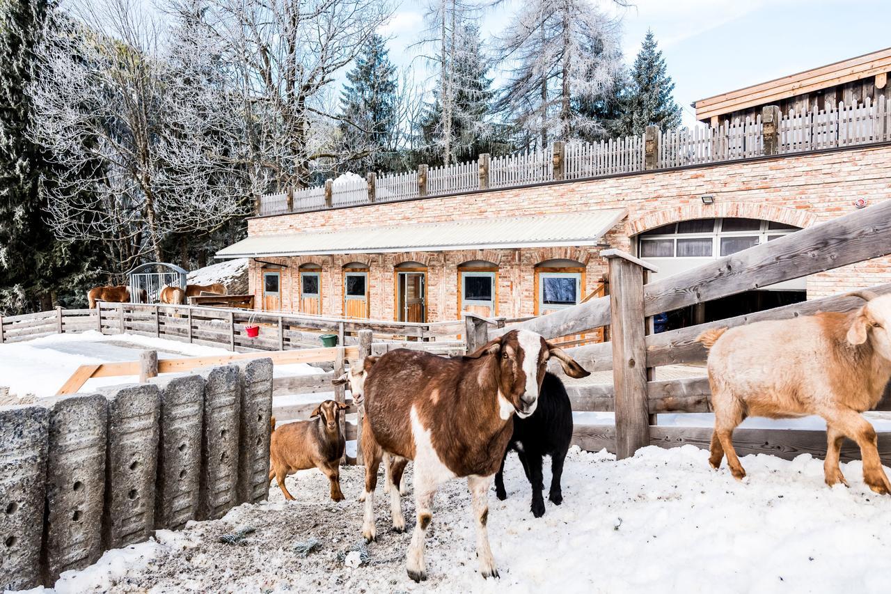Peakini Farmhaus Villa Untertauern Dış mekan fotoğraf