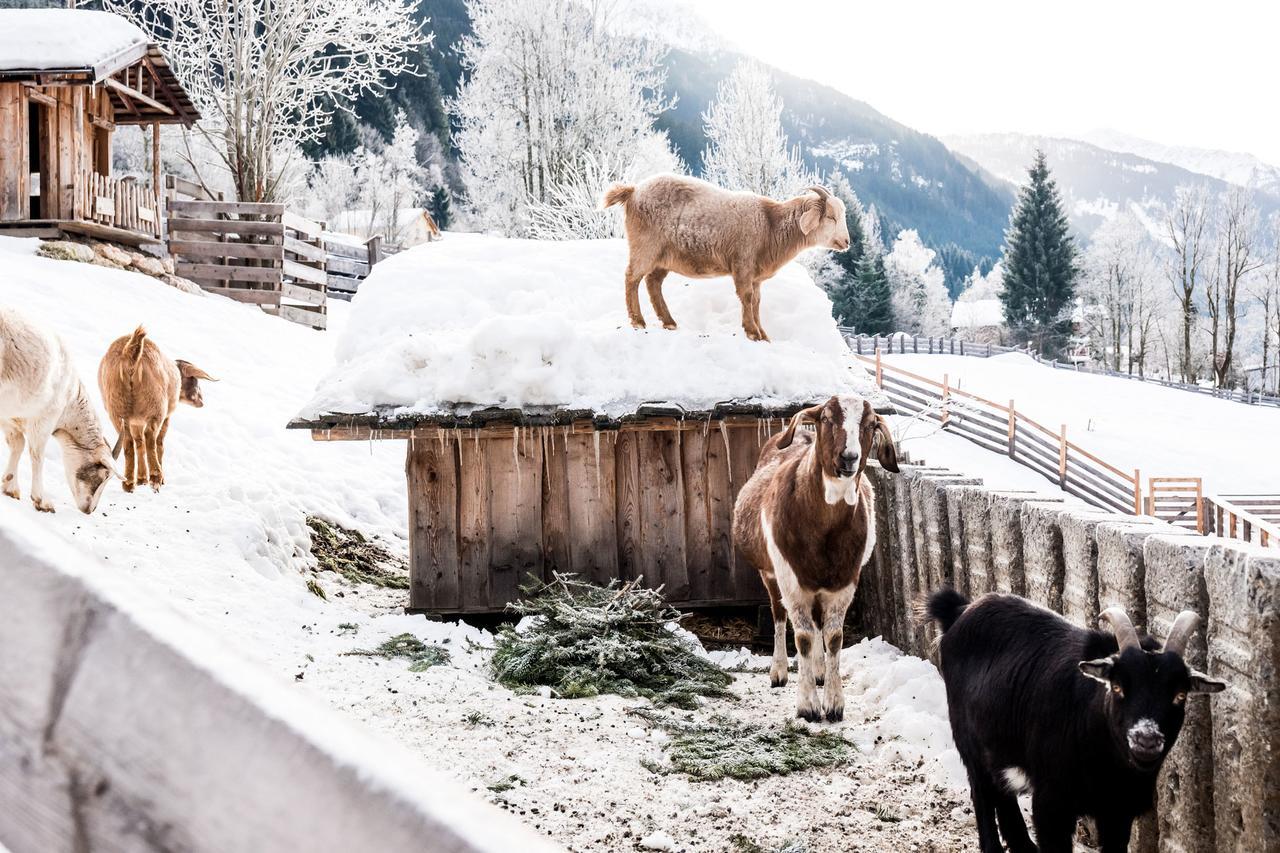 Peakini Farmhaus Villa Untertauern Dış mekan fotoğraf