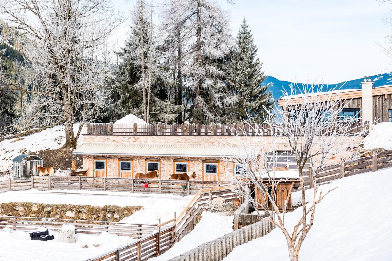 Peakini Farmhaus Villa Untertauern Dış mekan fotoğraf